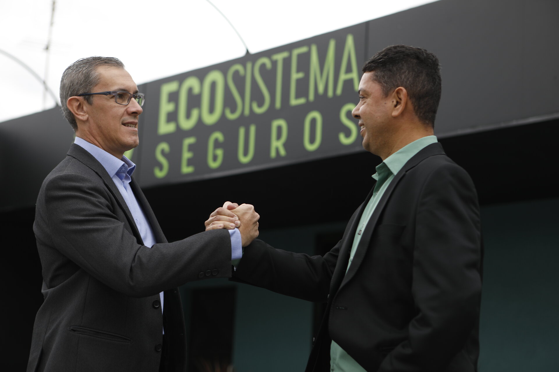 Ecosistema Seguros